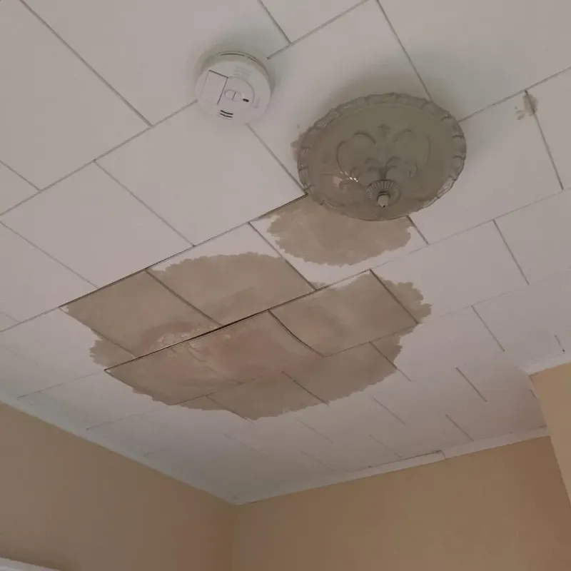 Ceiling Water Damage Repair in Hastings, NE