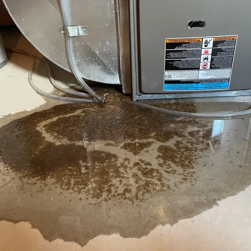 Pipe Burst and Leak Restoration in Hastings, NE
